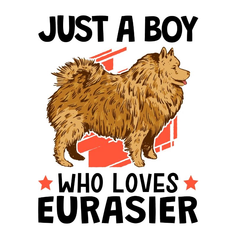 Nur eine Junge der Eurasier liebt Eurasian Dog