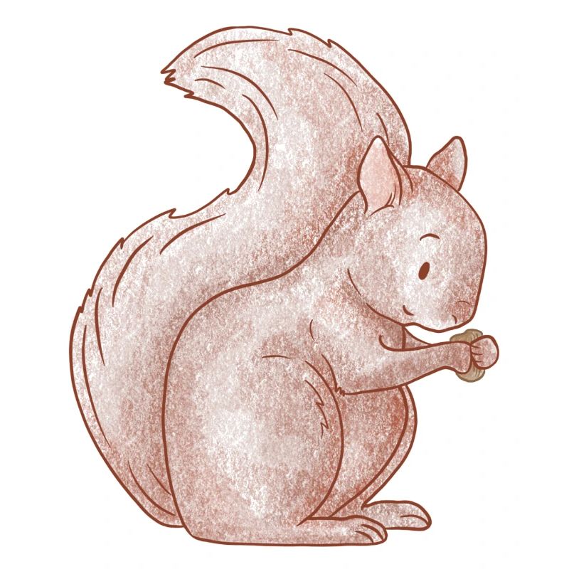 Süßes nussiges Eichhörnchen