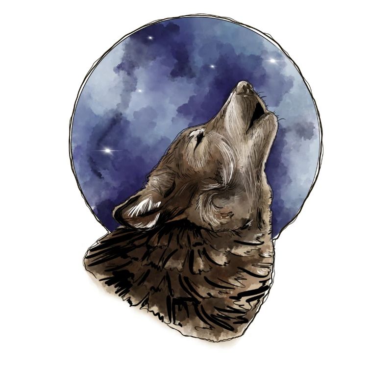 Wolf und Mond