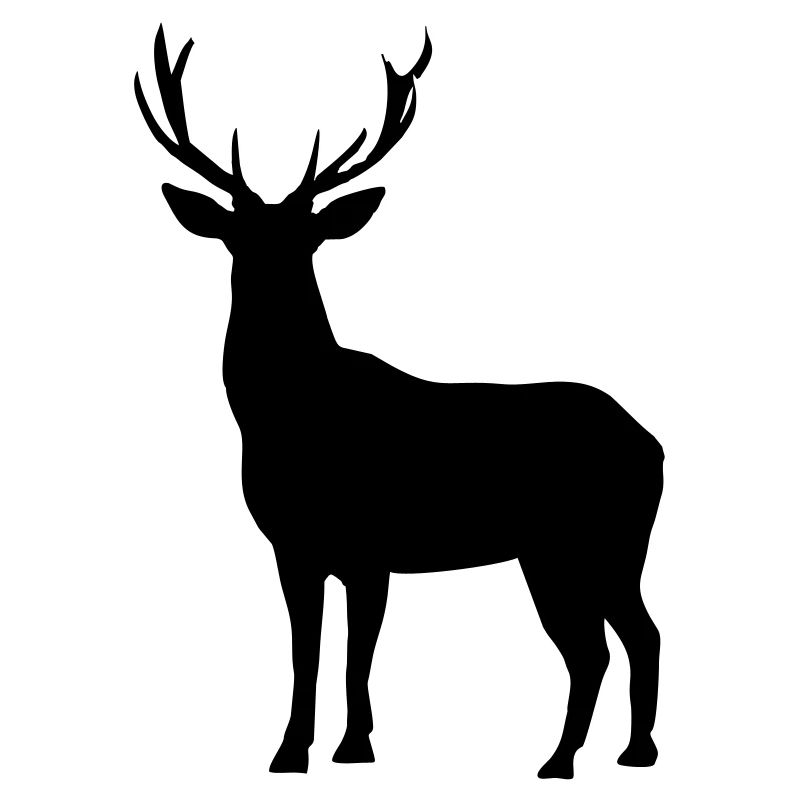 Hirsch