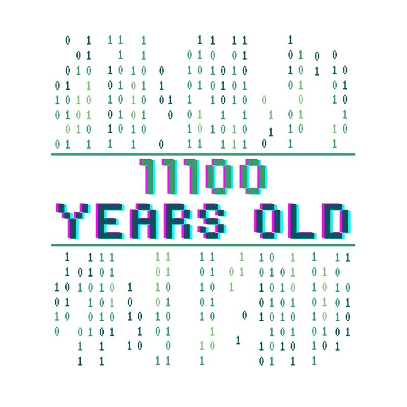 28th Birthday 28 years old Binary Code Coder
