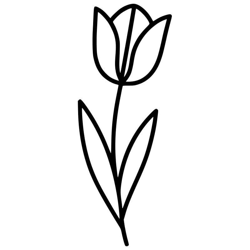Aperçu printanier des fleurs de tulipe