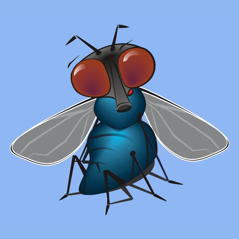 fliege