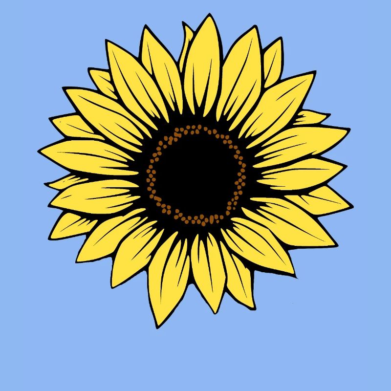 Fleur Fleur Jaune Fleurs Fleur Tournesol Fleur