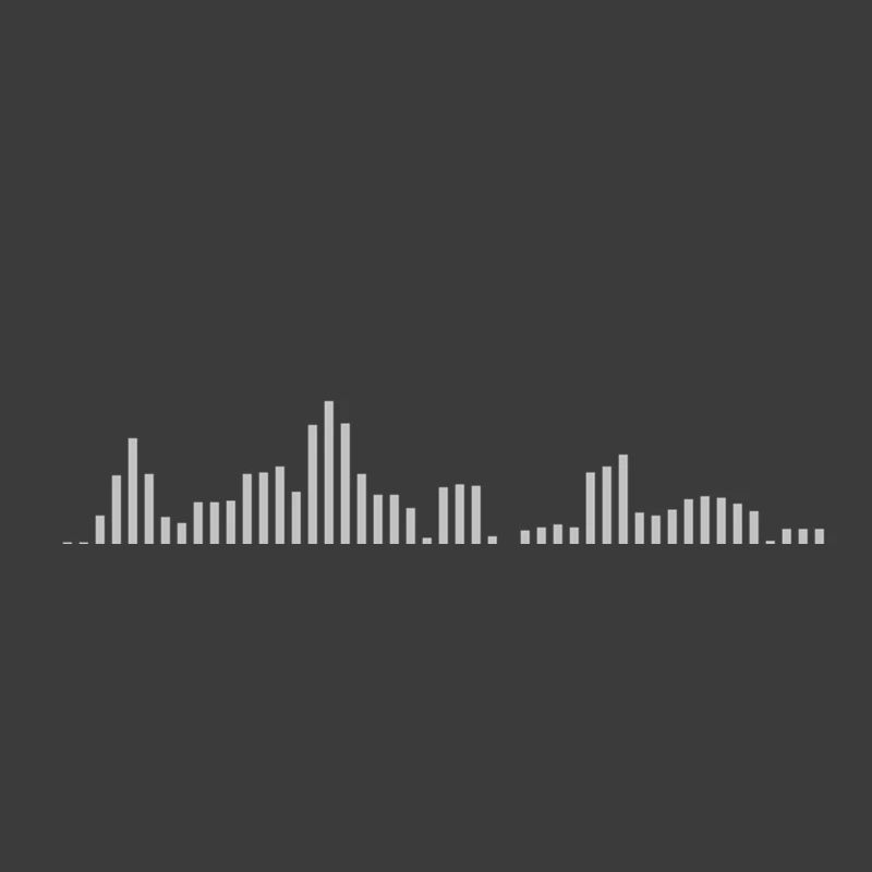 Visualizer