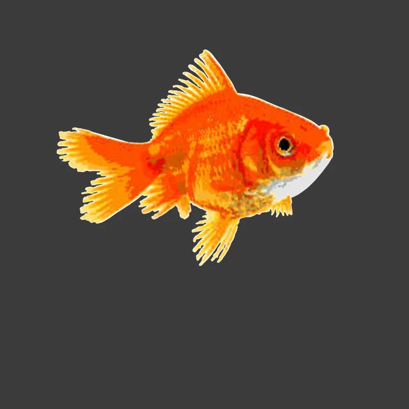 Goldfish