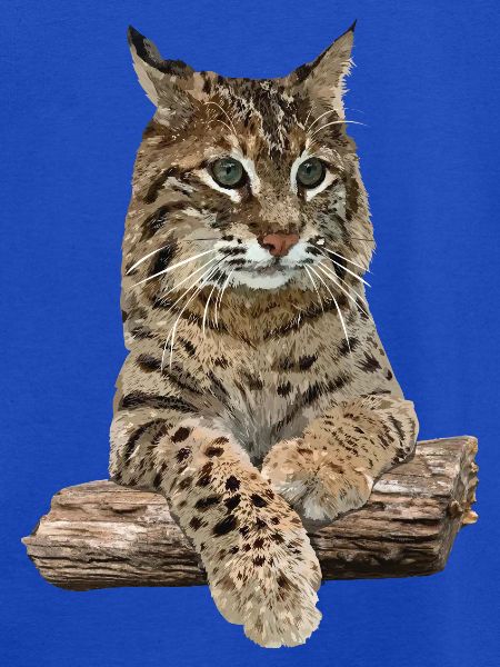 Luchs