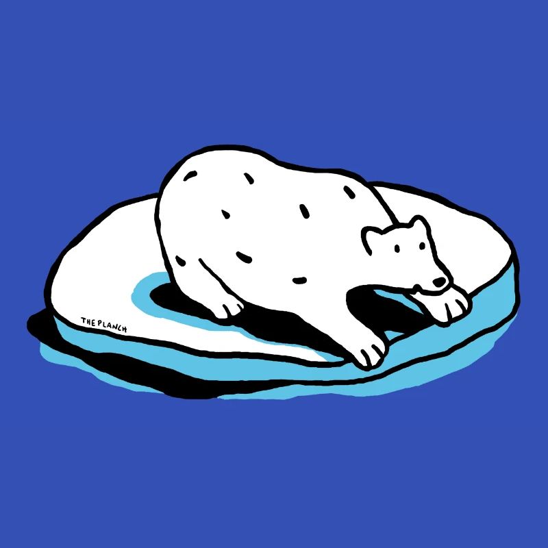 Der Eisbär
