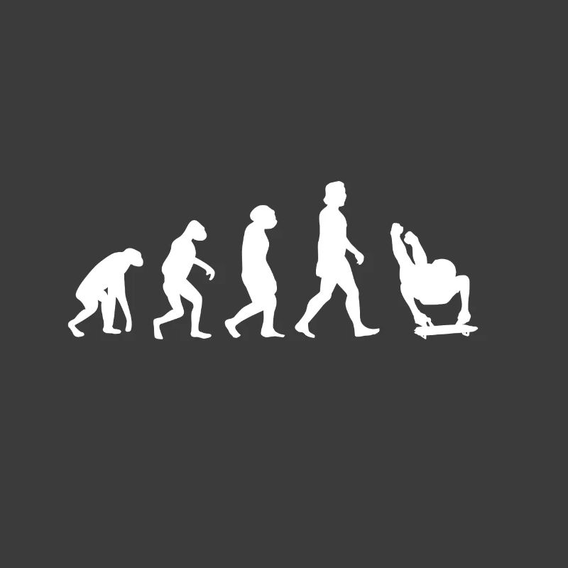 Evolution Skeleton