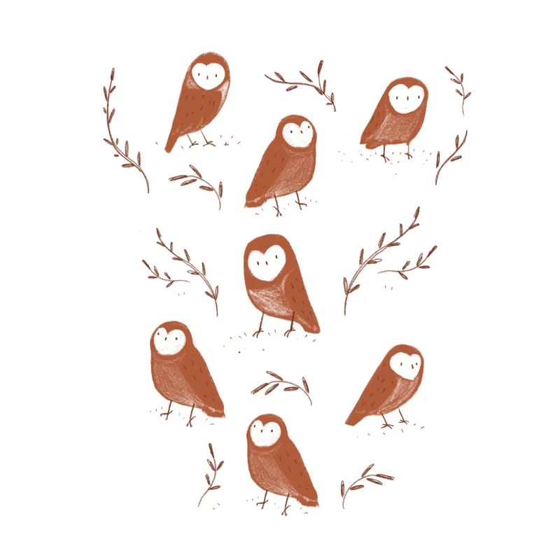 Barn Owls illustration