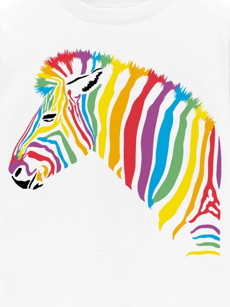 rainbow zebra