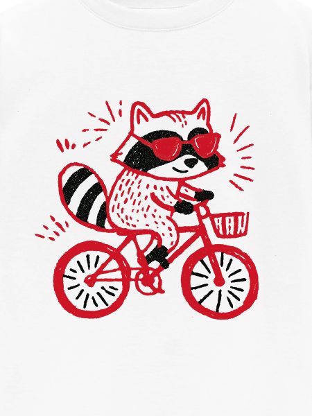 Raccoon am Rad