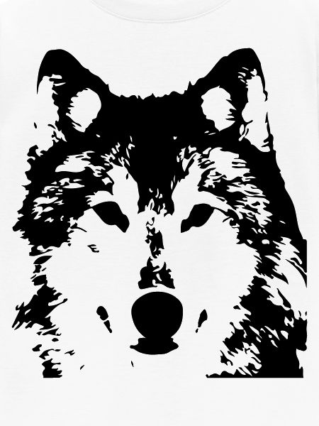 Wolf Plott