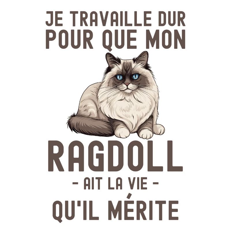 Chat de race Ragdoll 1