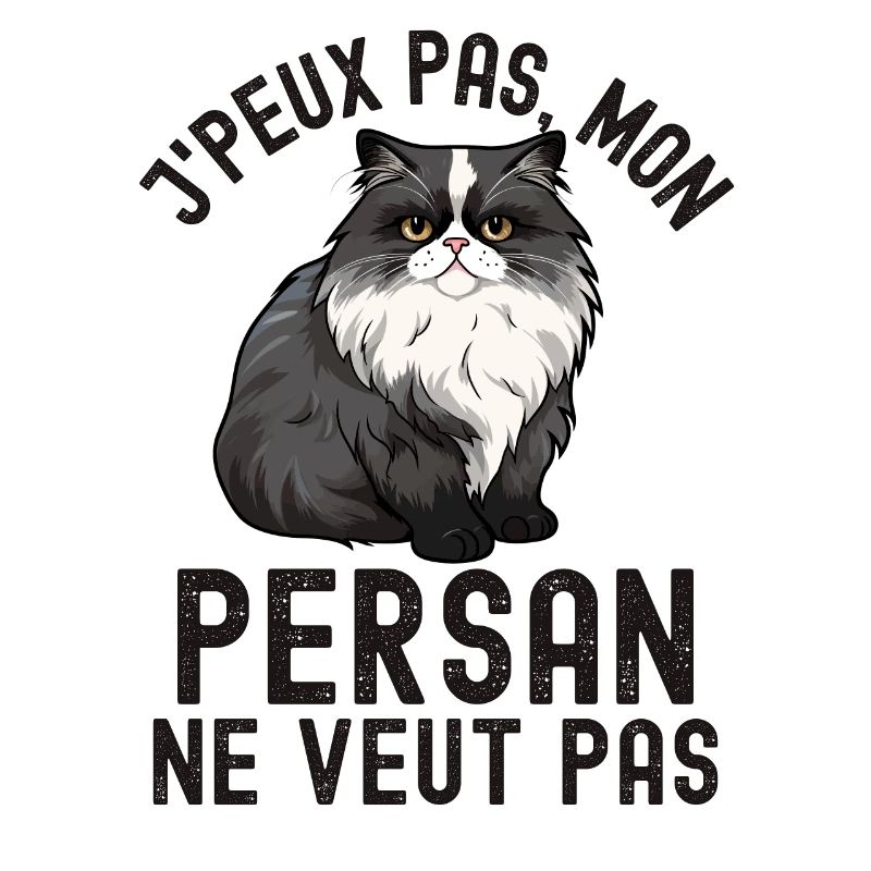 Chat de race persan