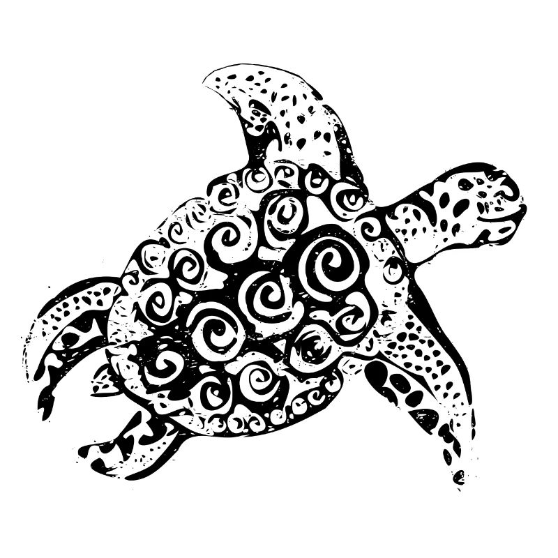 Smiling Tortuga | Smiling turtle