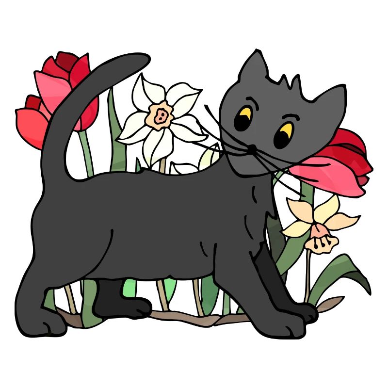 Chat