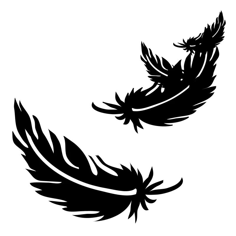 Two flying feathers