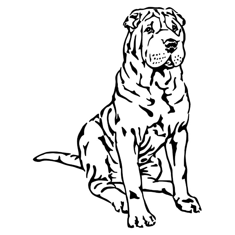 Shar-Pei
