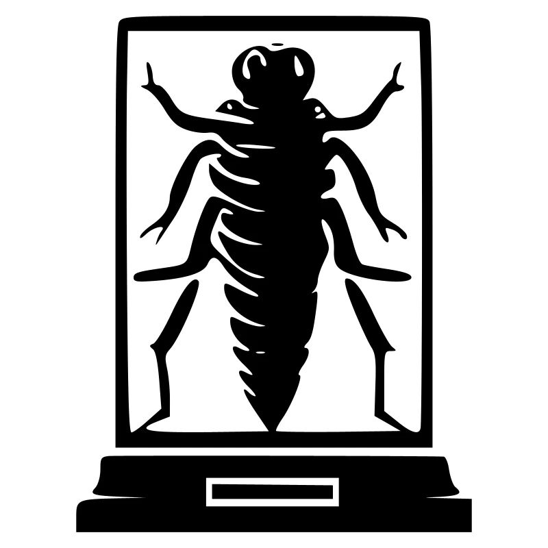 Insecte musée