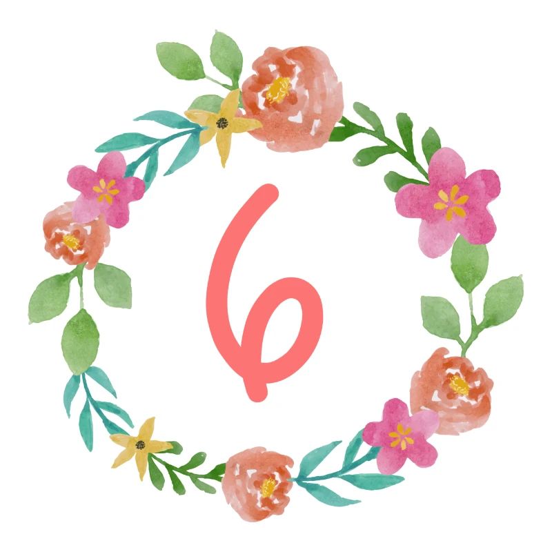 6 Geburtstag Geburtstagsshirt