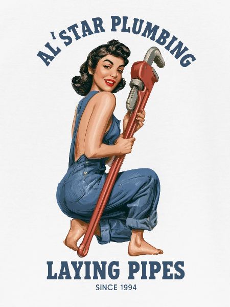 Al'star plumbing