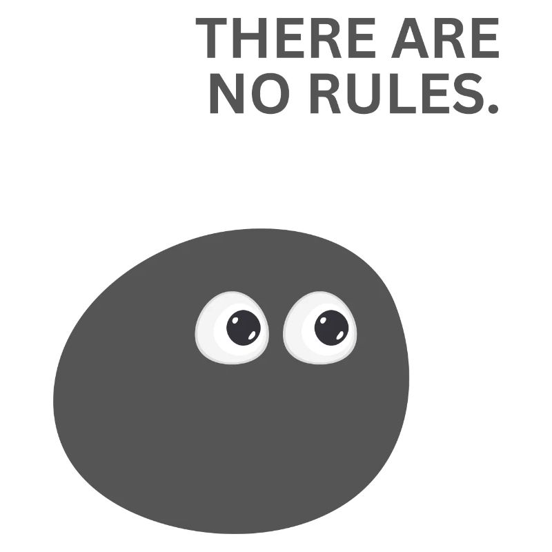 IL N'Y A PAS DE RÈGLES