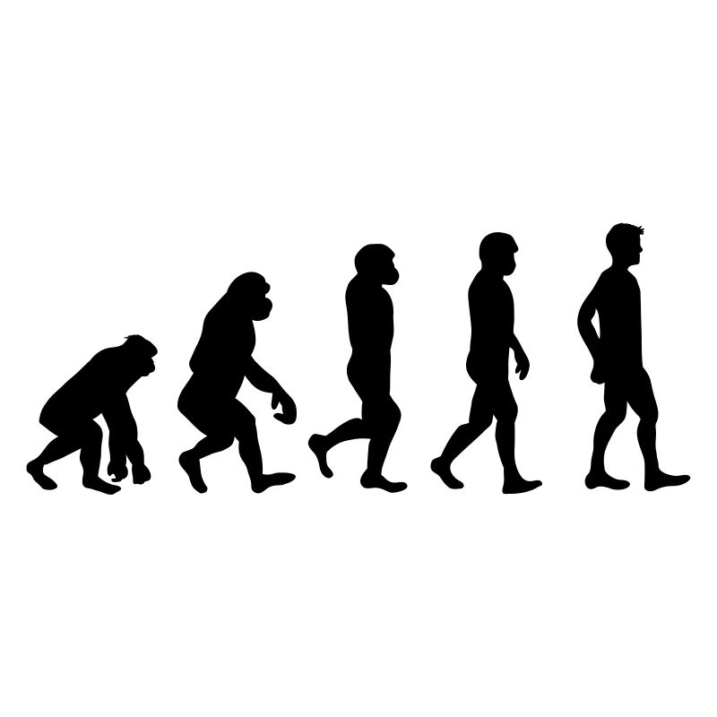 Evolution | Darwinisme | Théorie de l'évolution | Singe