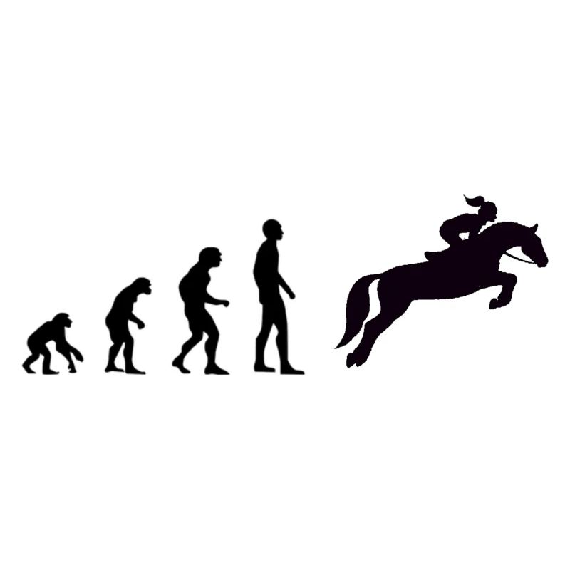 Evolution - Reiterin