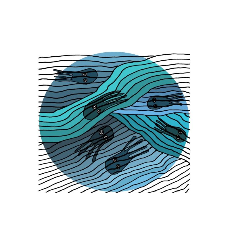 Strange ocean creatures