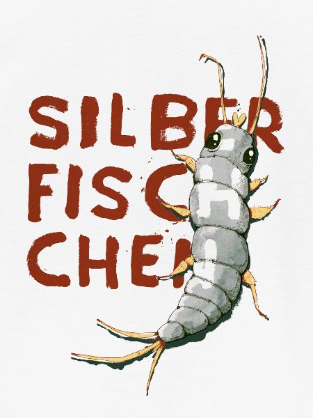 Silberfischchen