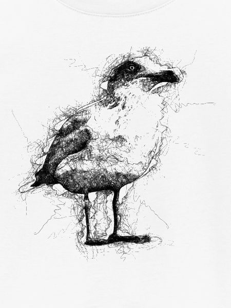 Möwe