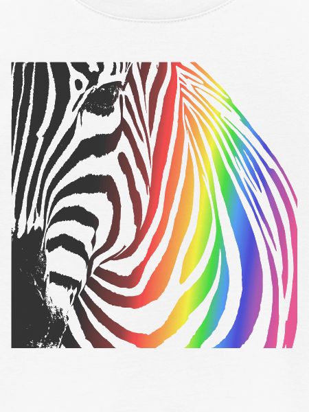 Rainbow Zebra