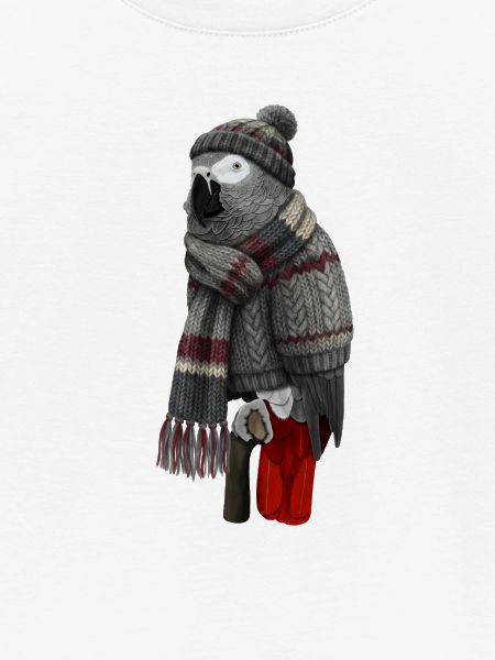 Graupapagei in Strickpullover Winter Weihnachten
