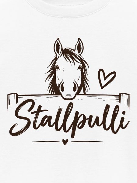 Stallpulli - Pferd - Reiterin - Stall - Pullover