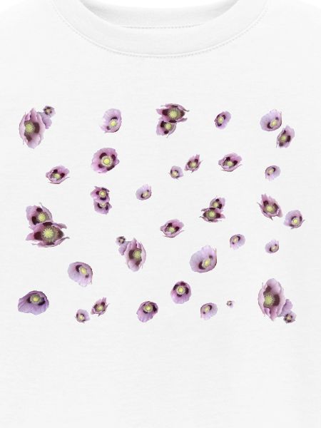 lila Mohn