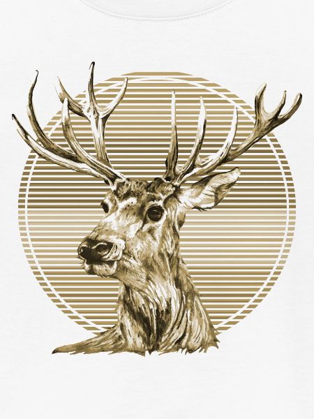 Hirsch