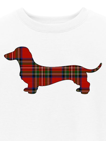 Tartan-Wursthund | Pyrenäenlinien-Labor