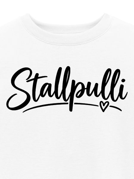 Stallpulli - Pferd - Reiterin - Stall - Pullover