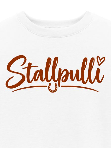 Stallpulli - Pferd - Reiterin - Stall - Pullover