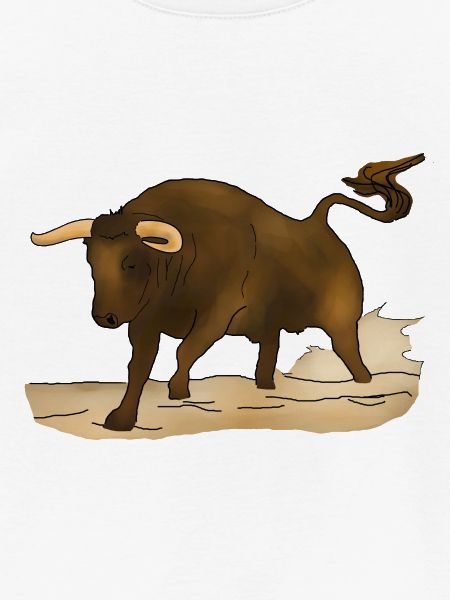 Stier, Bulle