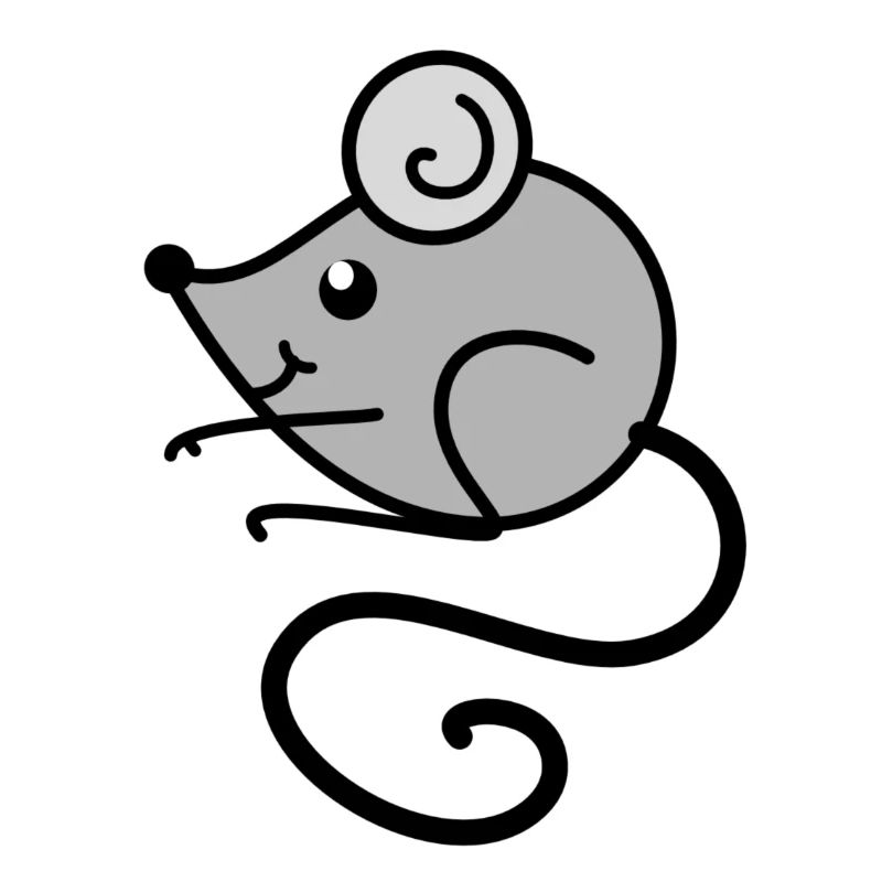 Süßes kleines Mäuschen ! _ Maus, grau, Tierchen