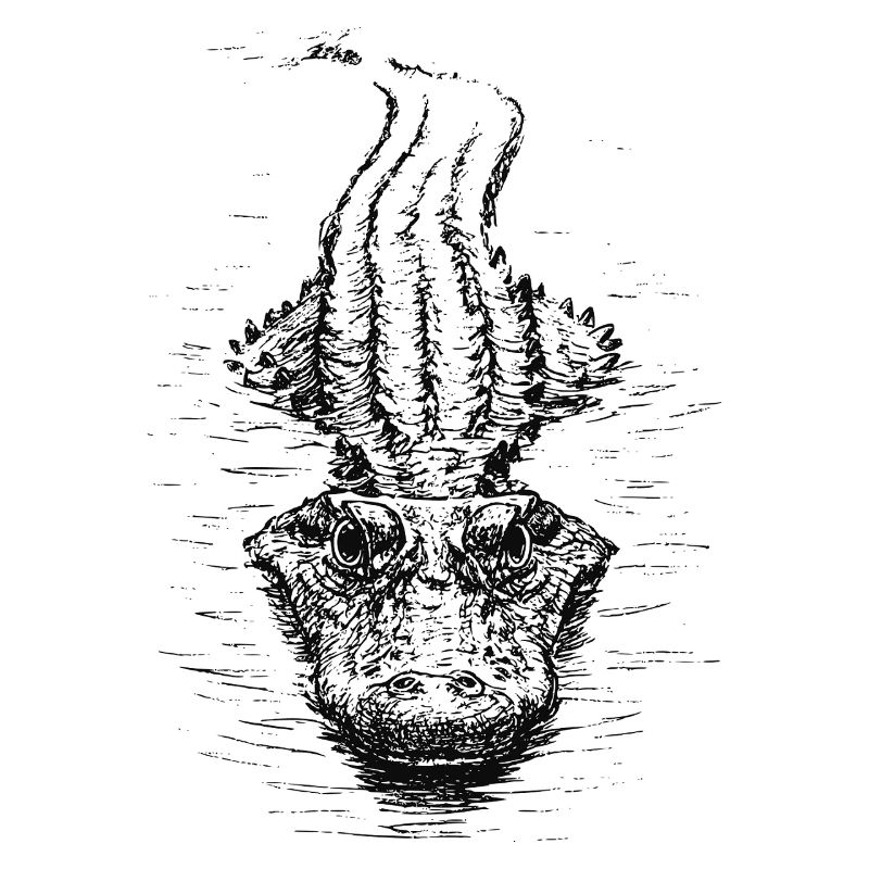 Floating Croc