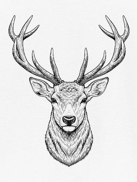 Hirsch