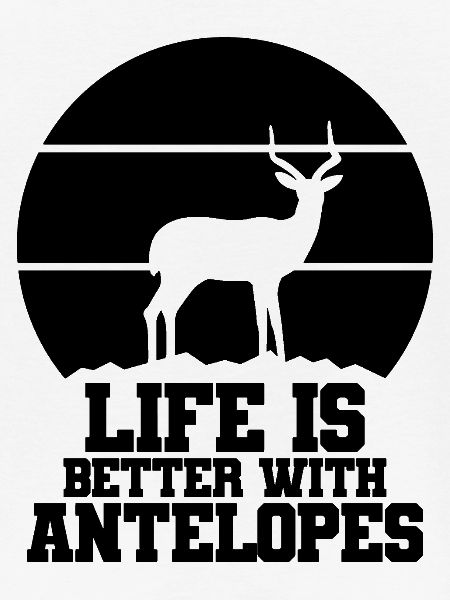 Antilope Humor Spruch