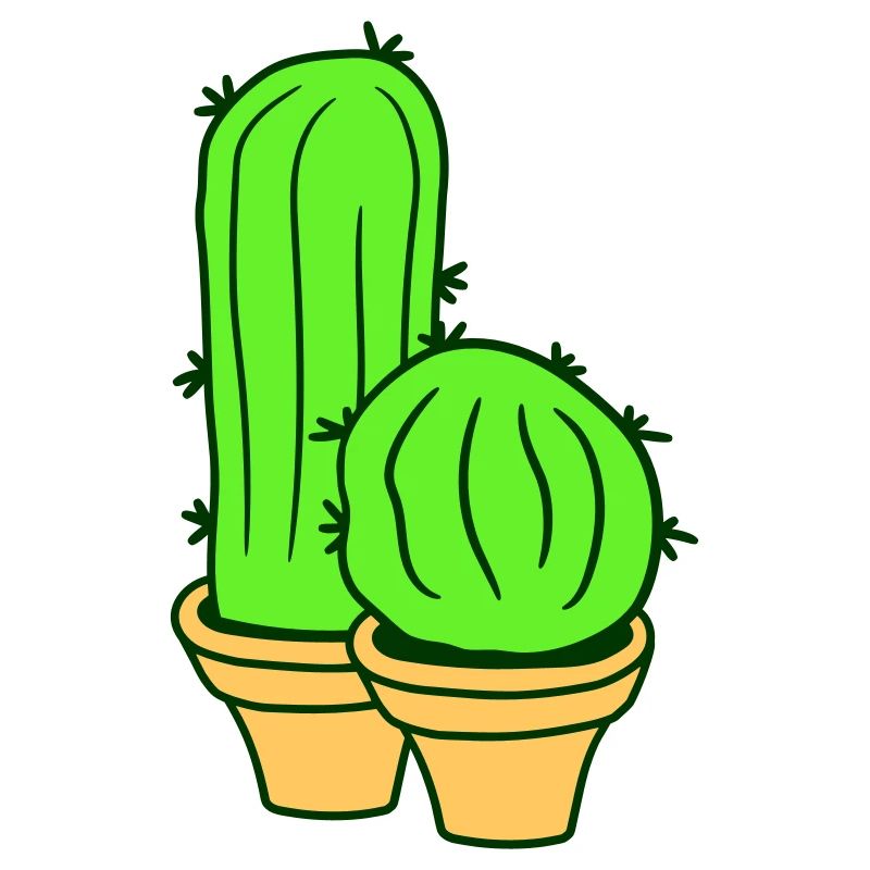 2 petits Cactus Cactus Épines Desert Pot de Fleurs
