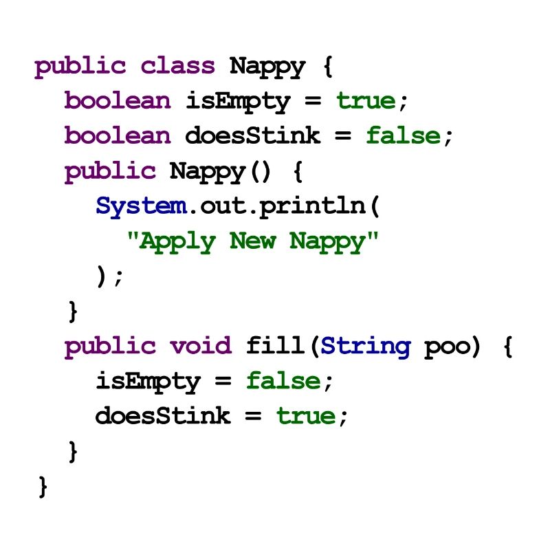 Java Code New Baby - Nappy