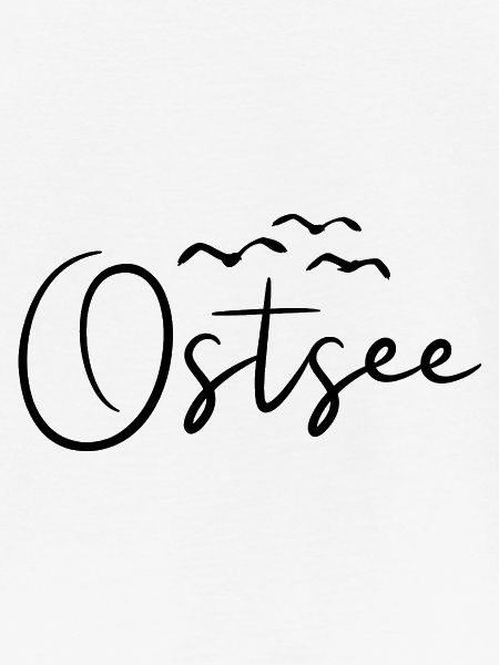 Ostsee Möwen