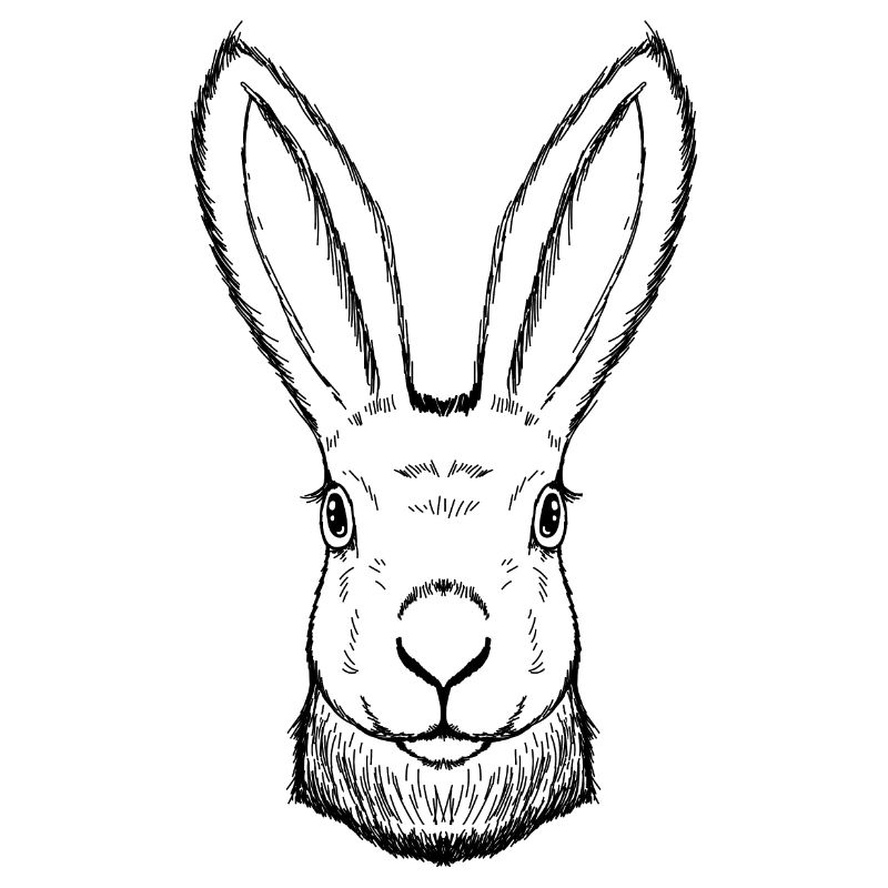 Rabbit drawn, handmade, Easter