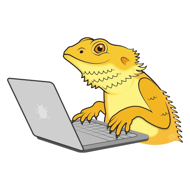 Lizard coding